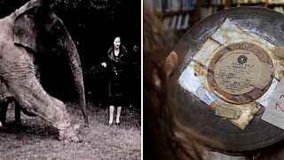 London Zoo archivists ask for public's help to uncover contents of mystery film reels