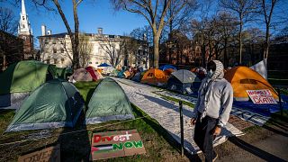 Uno studente protesta contro la guerra a Gaza davanti a tende e striscioni in un accampamento presso l'Università di Harvard, Cambridge, Massachusetts, 25 aprile 2024