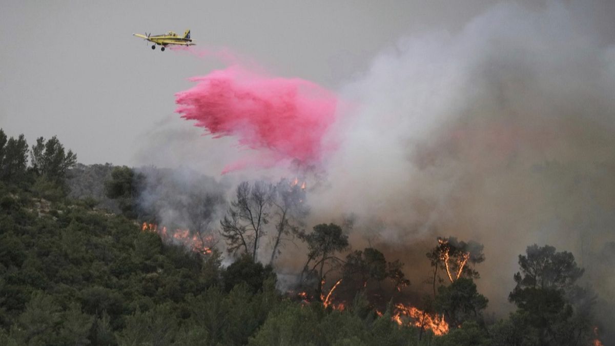 Israël : d'importants feux de forêt menacent Jérusalem