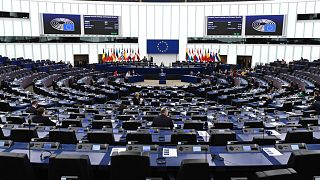 View of the European Parliament in Strasbourg, eastern France, 11 March 2025.