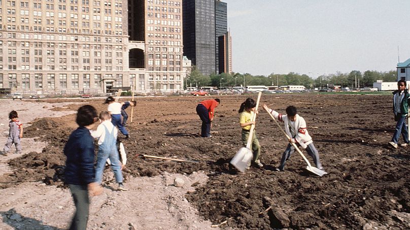 Önkéntesek a búzatábla helyének kialakítása közben - 1982