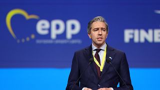 Simon Harris addresses Valencia congress