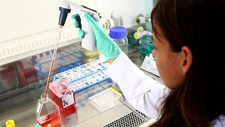 A laboratory employee works with cell cultures in Munich, Germany, in March 2020.