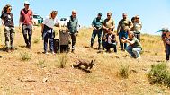 Un jeune lynx ibérique est relâché en Estrémadure, le 28 avril 2025.
