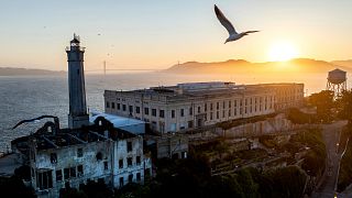 A bird flies above Alcatraz Island on Sunday, May 4, 2025, in the San Francisco Bay, California, United States.