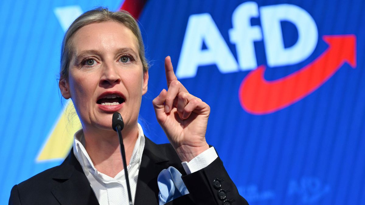 Allemagne : suspension du classement de l'AfD comme parti "extrémiste de droite"