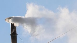 Crowd cheers as white smoke announces new pope at Vatican
