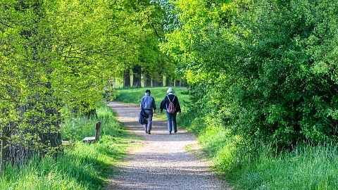 Elderly couple walking in a wood.