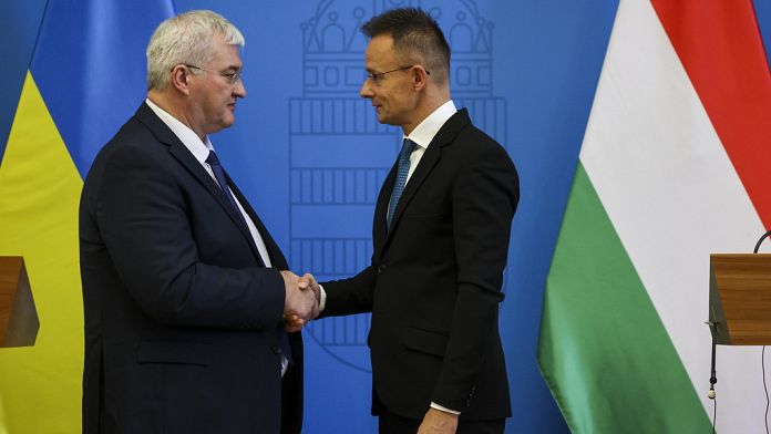 Ukraine says Hungary has suspended dialogue with them on minority rights