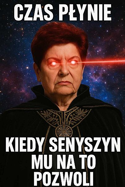 Mem z Joanną Senyszyn. Kandydatka udostępnia memy ze sobą na swojej stronie internetowej.