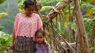 Amelia Pop Chocoj with her daughter, standing beside their dying banana plant. 