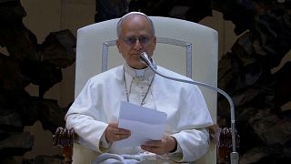 Pope Leo calls for the release of imprisoned journalists