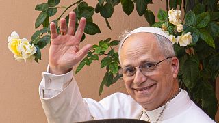 Does the new pope have Haitian roots? 