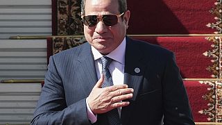 Égypte : l'ONU interroge le processus de rédaction du nouveau code pénal  