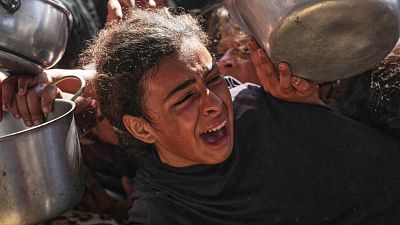 Gaza: Palestinian UN envoy blasts Israel for deliberately blocking aid