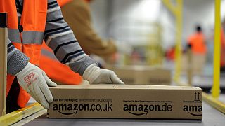 Amazon lost its 14 long-term Parliament access badges in February 2024.