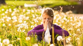 Pollen can aggrevate allergies but not all pollen is bad. It's essential to human life.