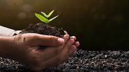 Legal experts say the Committee missed the chance to legally protect the right to a clean, healthy and sustainable environment for all in Europe.