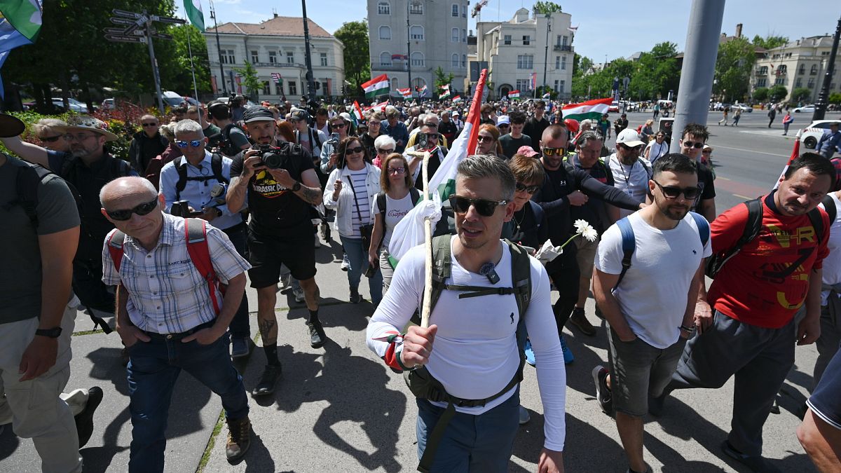 Magyar Péter gyalog indult Nagyváradra Budapestről