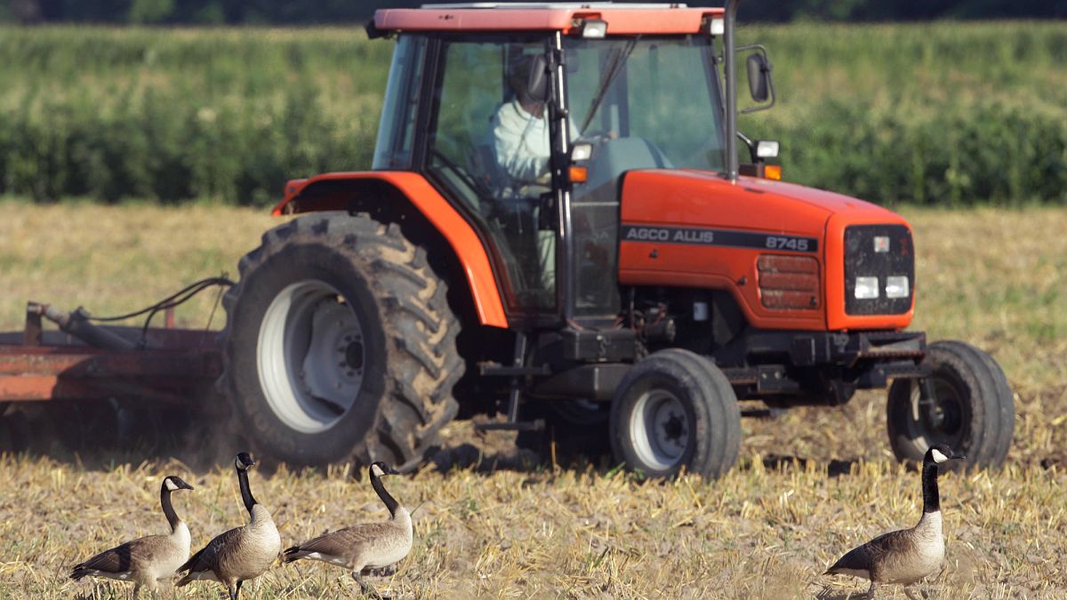 Commission unveils major plan to simplify EU’s agricultural rulebook