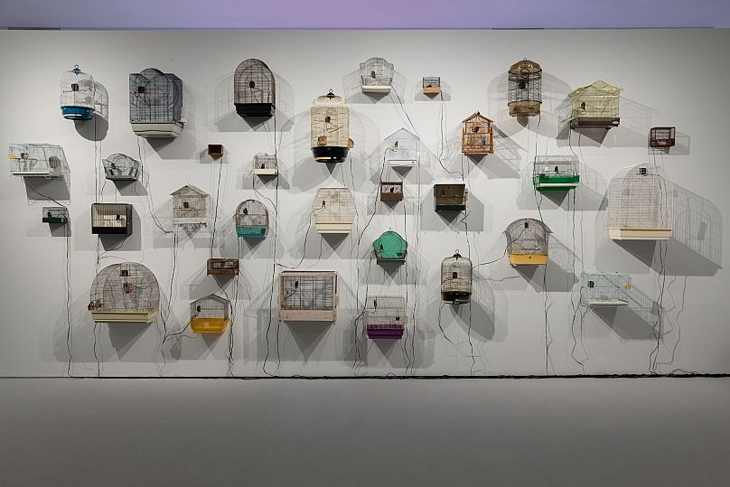 Oussama Tabti Homo-Carduelis, 2022 (άποψη εγκατάστασης) Ηχητική εγκατάσταση Κλουβιά πουλιών, ηχεία, 33΄ σε λούπα