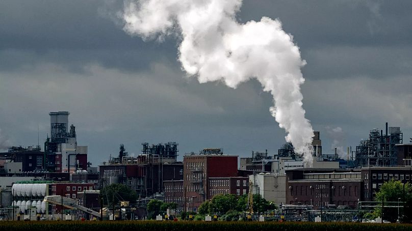 Ludwigshafen am Rhein: Mit staatsgeförderten Strategien arbeitet die Stadt an ihrer Klimaanpassung.