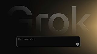 This image from the xAI website shows a search field for the artificial intelligence chatbot Grok on Thursday, May 5, 2025.