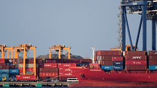 A container ship is docked at a cargo terminal in Tokyo. 9 April 2025.