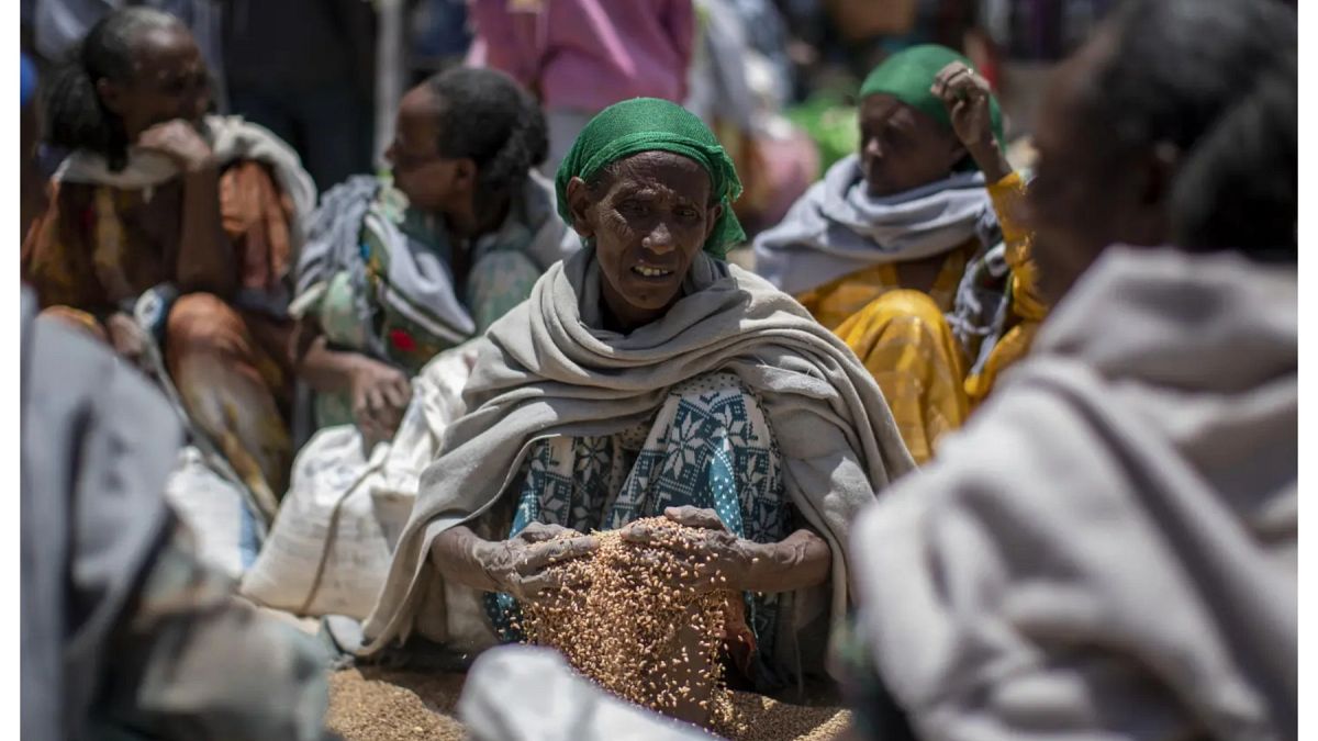 الأمم المتحدة: مستويات قياسية في نسبة الجوع عبر العالم بسبب النزاعات وأزمة المناخ