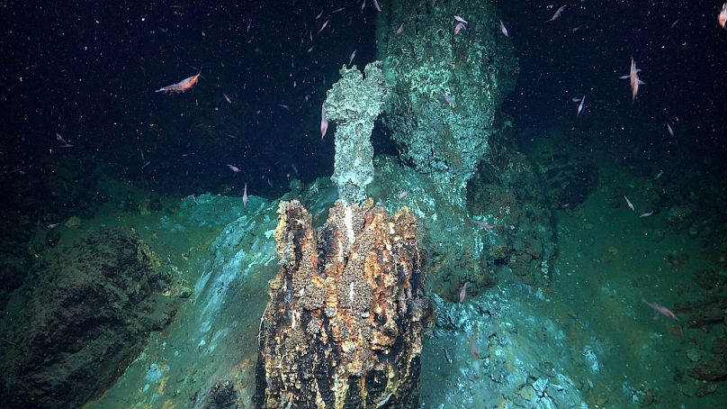 I ricercatori hanno scoperto sorgenti idrotermali a 700 metri di profondità sul lato nord-est della Quest Caldera, al largo delle Isole Sandwich del Sud