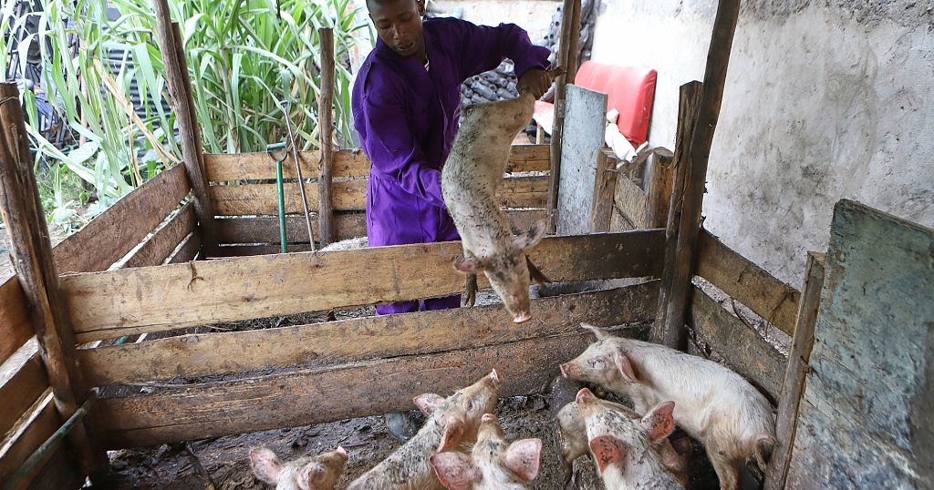 They once lived the ‘gangster life.’ Now they tackle food insecurity in Kenya’s slums They once lived the ‘gangster life.’ Now they tackle food insecurity in Kenya’s slums