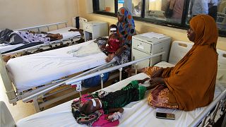 Global hunger worsened in 2024, affecting 295 mln people: UN report 