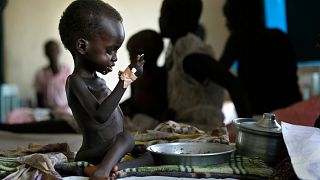 ONU : la faim aiguë a touché 295 millions de personnes en 2024