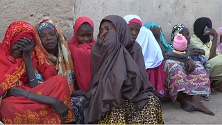 Nigeria crisis: 20,000 flee Marte after militant attacks