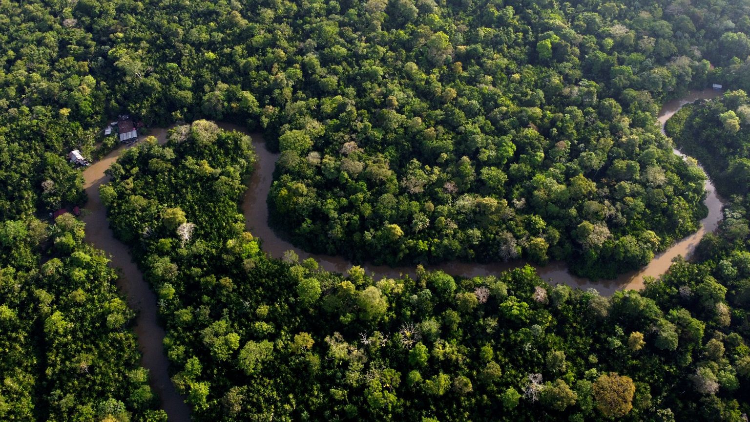 View of the forest cut by the Combu creek near the city of Belem, 6 August, 2023 View of the forest cut by the Combu creek near the city of Belem, 6 August, 2023