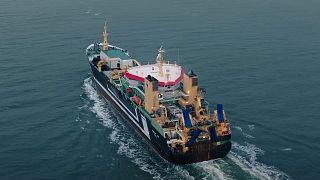 The 145m-long Annelies Ilena, the world's largest fishing vessel.