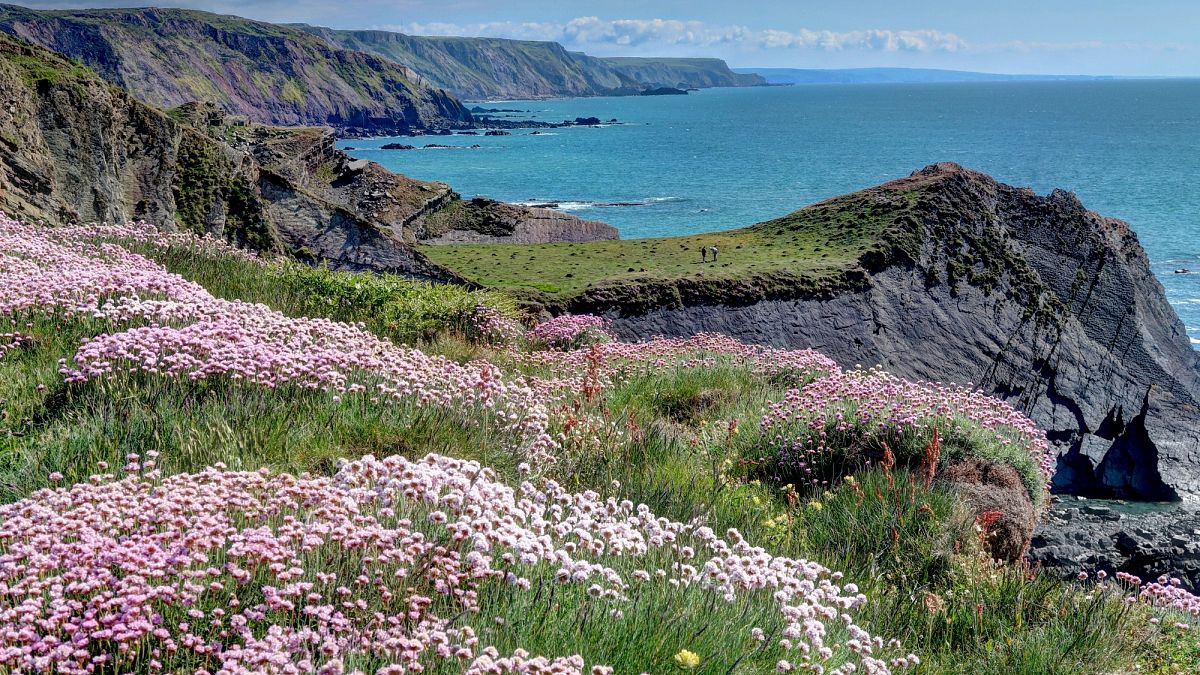 ‘Transformative journey’: The Salt Path inspires walkers to tackle England’s epic coastal route