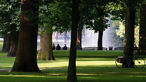 Deborah/Flickr
