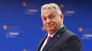 Hungarian Prime Minister Viktor Orban