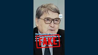 Fake Eruonews video circulates online