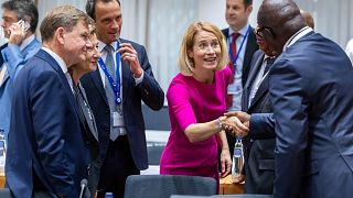 Le Botswana appelle à un renforcement des liens commerciaux avec l'UE