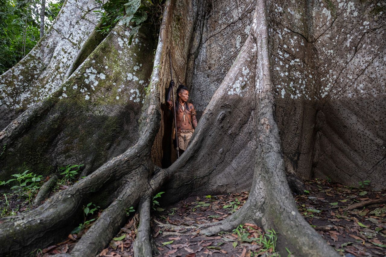 'Water line' in Amazonas, Peru, 2024.