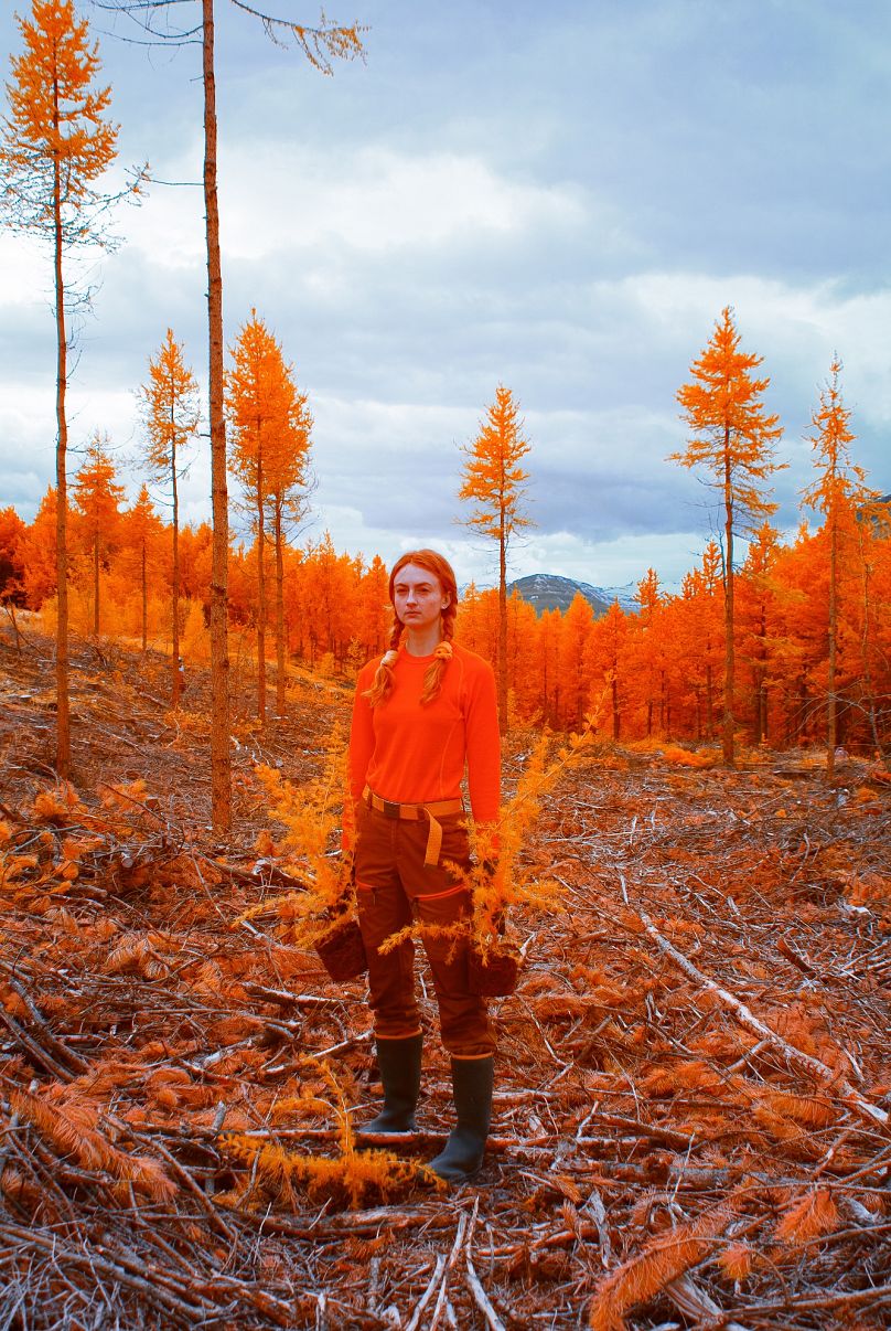 A Volunteer in Icelandic forest.