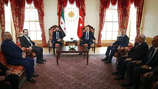 President Recep Tayyip Erdoğan met with Syrian interim President Ahmed al-Shara at Dolmabahçe Working Office, 24 May 2025.