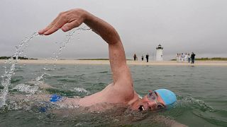 50 ans de « Dents de la Mer » : un nageur défie les stéréotypes sur les requins