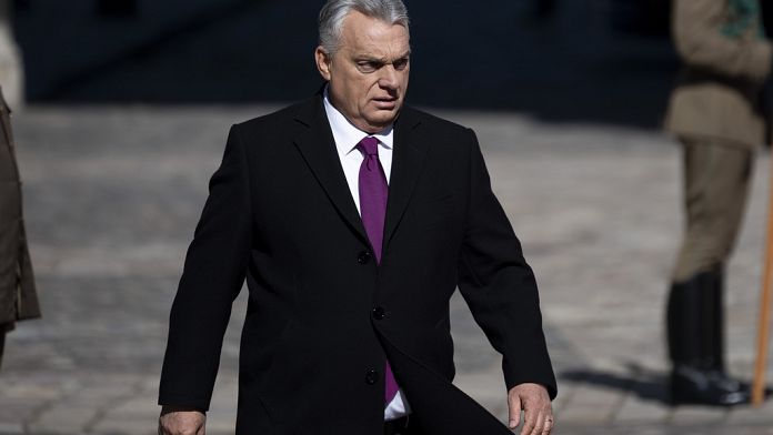 Via all'audizione sullo stato di diritto in Ungheria: 17 Paesi Ue condannano divieto del Pride