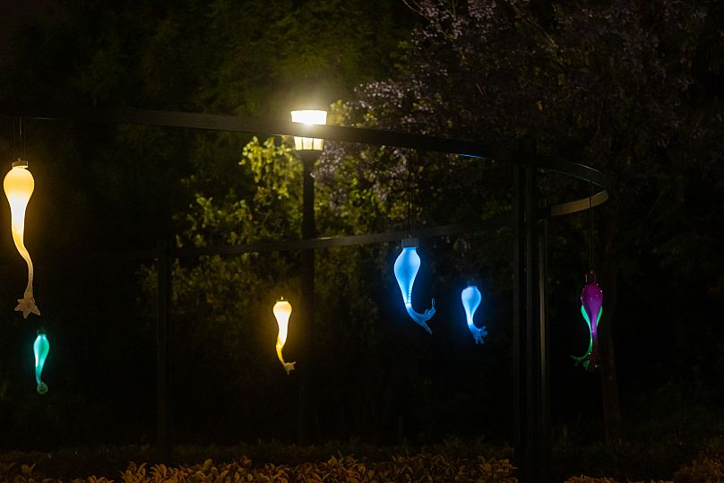 Νοέμι Ιγκλέσιας Μπάριος: «The Falling City»