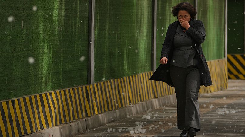 Eine Frau in Peking schützt ihr Gesicht vor umherfliegenden Pollen von Pappeln und Weiden. 7. April 2025.