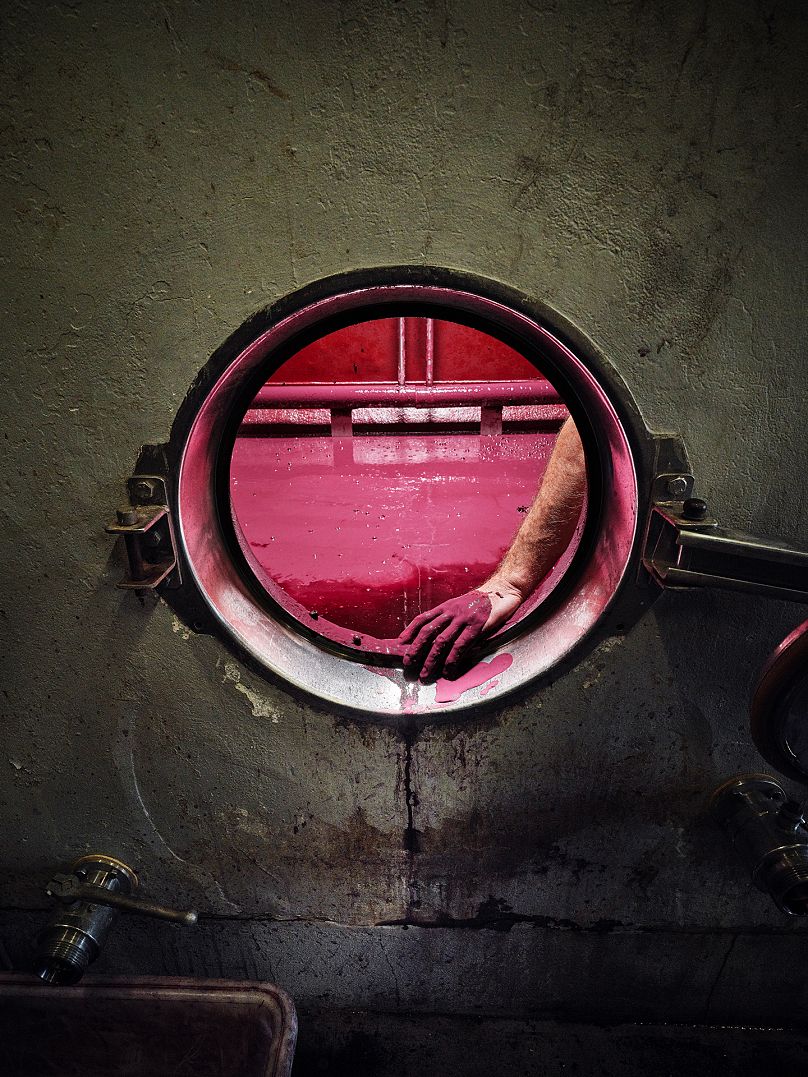 The Hand in the Vat by Franck Tremblay (Errazuriz Wine Photographer of the Year - Produce) 