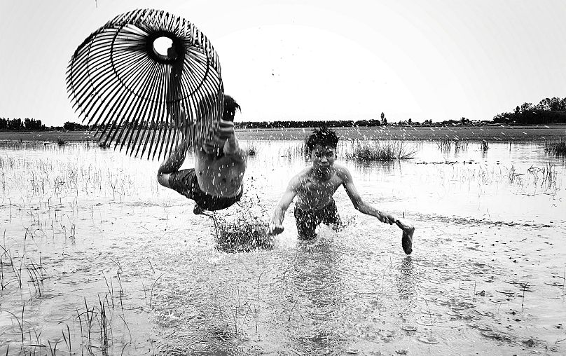 Net Fish in Water Fields by Chang Jiangbin (Bring Home the Harvest) 